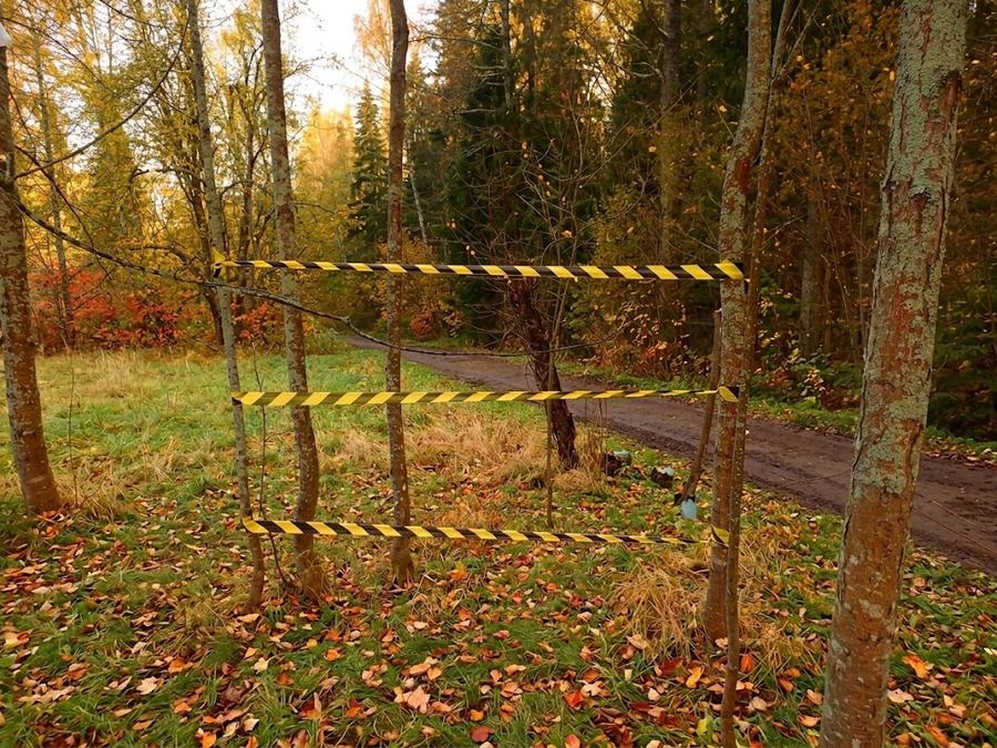 Заграждение на улице: три слоя ленты между деревьями, не ниже пояса